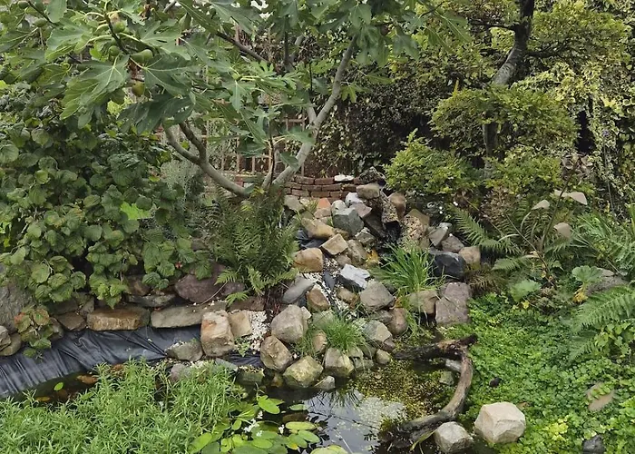 Maison Cocon A Crespin * Crespin (Nord)